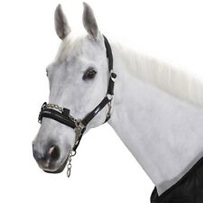 Eskadron control headcollar for sale  UK