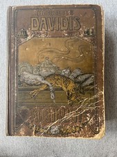 Davidis prakt kochbuch gebraucht kaufen  Hamburg