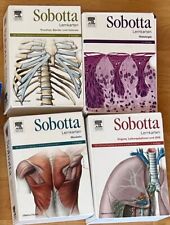 Sobotta lernkarten anatomie gebraucht kaufen  Bonn