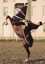 Saumur ecole nationale d'occasion Saumur ecole nationale d'occasion  France