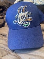 Milb hat hartford for sale  New Lenox