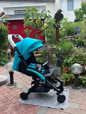 Neuer unbenutzter buggy gebraucht kaufen  Mainz-Kostheim