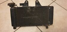 Radiatore honda shadow usato  Bussolengo