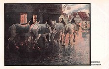 Tiere weiße kutschpferde gebraucht kaufen Tiere weiße kutschpferde gebraucht kaufen  Deutschland