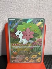 Shaymin 066 063 usato  Lumezzane