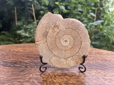 Stunning large 12cm for sale  CROYDON