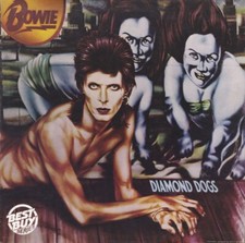 David bowie diamond usato  Noventa Padovana