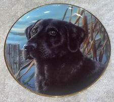 Vintage franklin mint for sale  LARKHALL