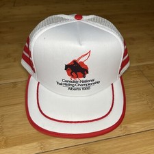 Vtg canadian national for sale  Savannah
