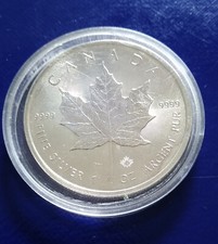 Canada silber 999 gebraucht kaufen  Ingelheim am Rhein
