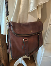 Bnwot fossil real for sale  MATLOCK