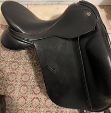 Beautiful trilogy amadeo for sale  Georgetown
