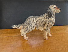 Fine english setter for sale  ROSS-ON-WYE