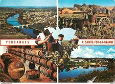 Sainte foy grande d'occasion  Fruges