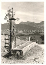 Berstaufen brunnentrog panoram gebraucht kaufen  Deutschland