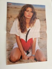 Livia pascal poster gebraucht kaufen  Salzgitter