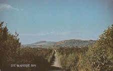 Postkarten postkarte kanada gebraucht kaufen Postkarten postkarte kanada gebraucht kaufen  Werl