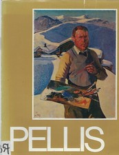 Pellis aa. vv. usato  Gorizia
