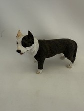 Brindle pit bull for sale  San Jose