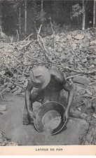 CONGO - SAN50110 - Lavadora De Pan - Mina comprar usado  Enviando para Brazil