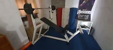 Panca inclinata technogym usato  Albano Laziale