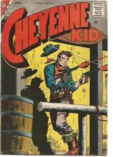 Cheyenne kid n.15 usato  Firenze