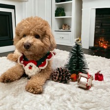 Christmas dog pet for sale  Los Angeles
