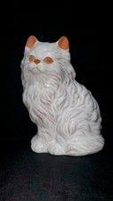 Persian himalayan kitten for sale  Sequim