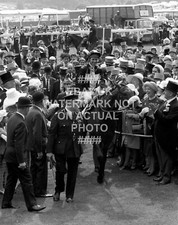 Mill reef lewis for sale  LEEDS