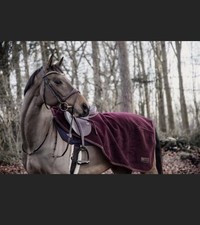 Kentucky ausreitdecke neu gebraucht kaufen Kentucky ausreitdecke neu gebraucht kaufen  Nürnberg