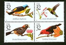 1998 tropical birds for sale  LONDON