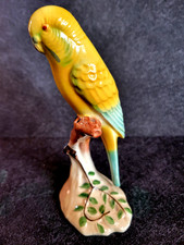 Budgerigar yellow fine for sale  BLACKPOOL