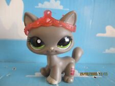 Petshop cat maine d'occasion  Expédié en Belgium