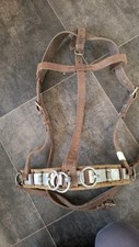 lunging cavesson for sale lunging cavesson for sale STAFFORD