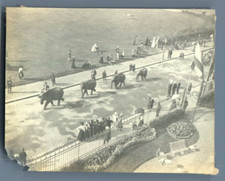 Dieppe char elephants d'occasion  Expédié en Belgium