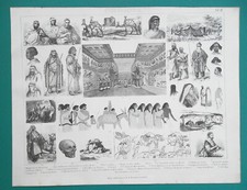 Egypt arab natives for sale  Manassas