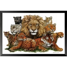 Framed great cats for sale  Pocasset
