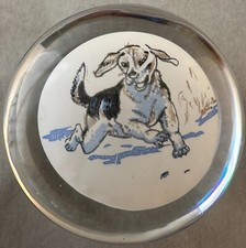 Dog plaque weight for sale  Turlock