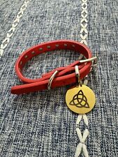 Charmed kit pet for sale  Troy