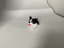 Chubby puppies black for sale  REDRUTH