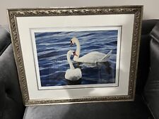 Black lake swan for sale  Philadelphia