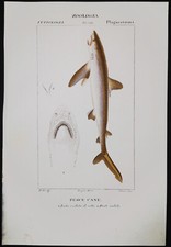 1831 pretre originale usato  Urbino