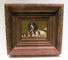 English springer spaniel for sale  Seattle