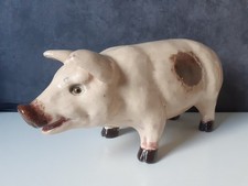 Cochon bavent yeux d'occasion Cochon bavent yeux d'occasion  Ifs