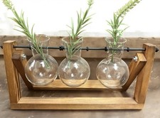 terrarium glass wood for sale terrarium glass wood for sale Bettendorf
