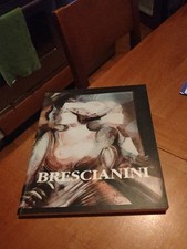 Brescianini rovato luci usato  Brescia