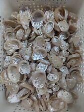 4oz wholesale white for sale  Doerun
