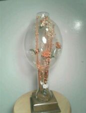Vintage 1970s dried for sale  Wendell