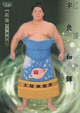 10 cartas colecionáveis de Grand Sumo URA 2024 BBM "HIBIKI" comprar usado  Enviando para Brazil