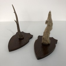 Vintage stag deer for sale  DEWSBURY